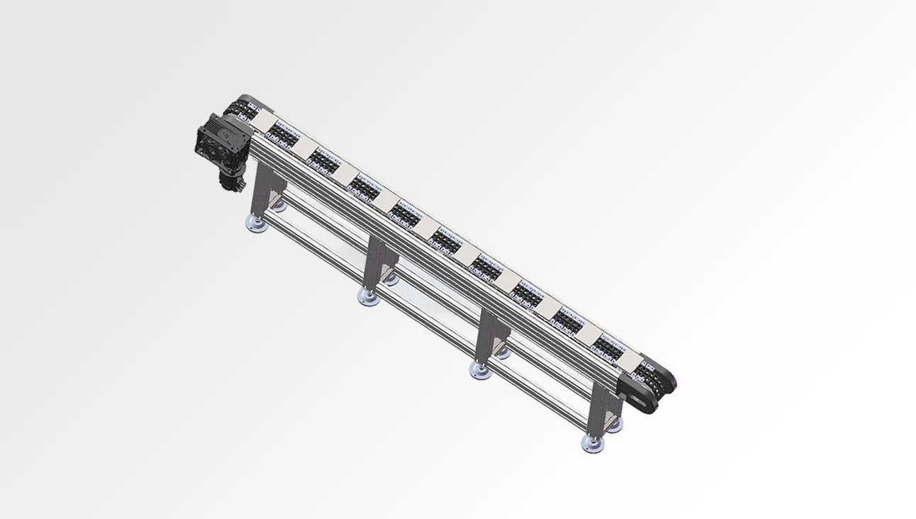 Chain Conveyor Line